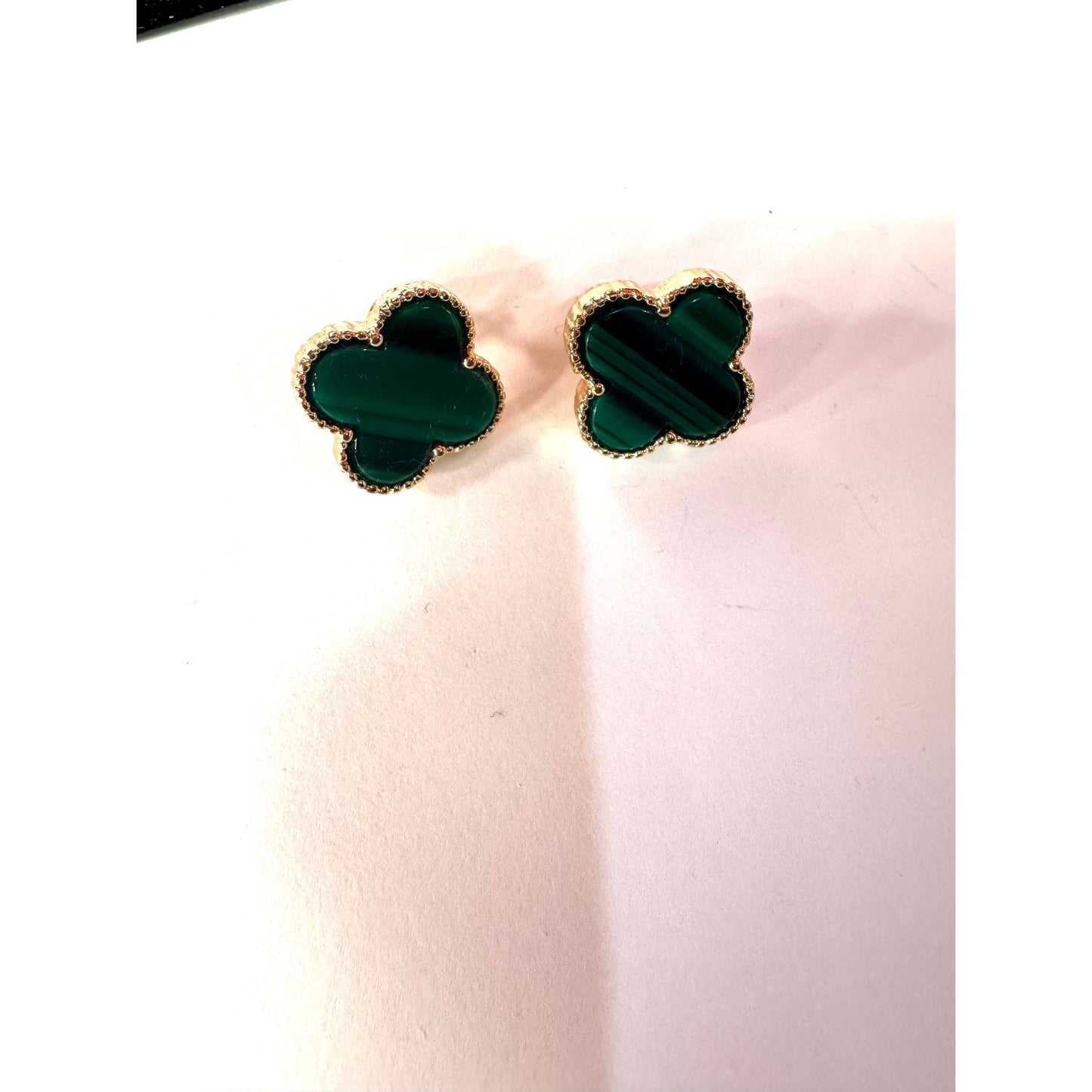 Clover Variety