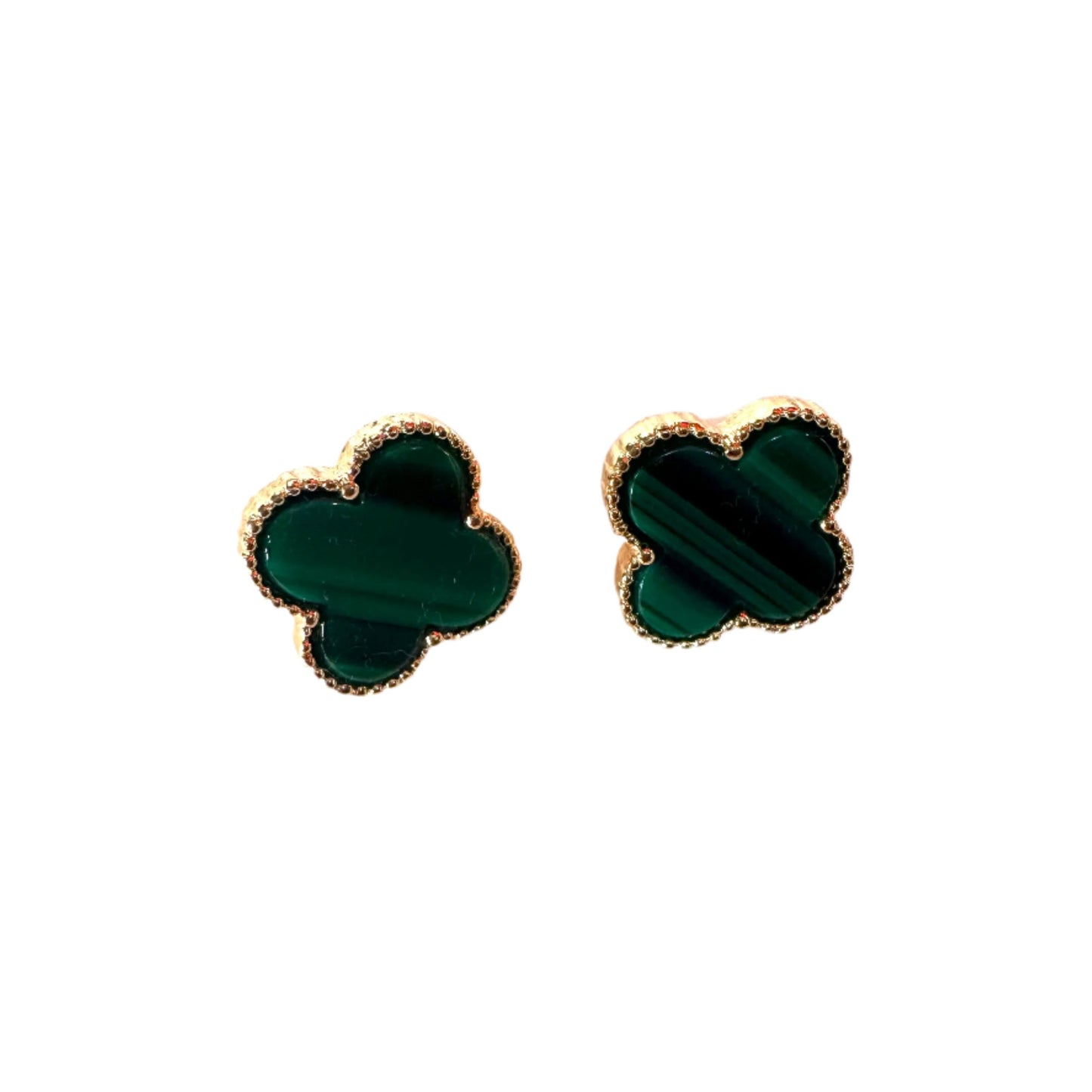 Clover Variety